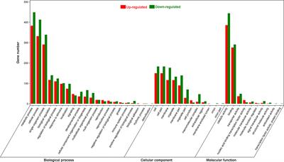 Functional characterization of a terpene synthase responsible for (E)-β-ocimene biosynthesis identified in Pyrus betuleafolia transcriptome after herbivory
